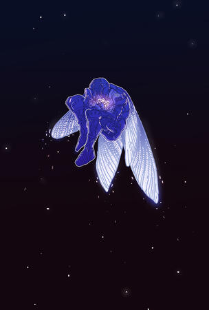 DragonFly Regalia - Destiny2 - 2022